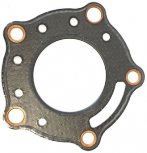 RG 250 KANNENTIIVISTE